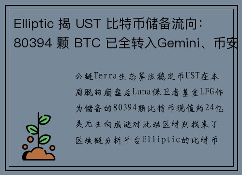 Elliptic 揭 UST 比特币储备流向：80394 颗 BTC 已全转入Gemini、币安，
